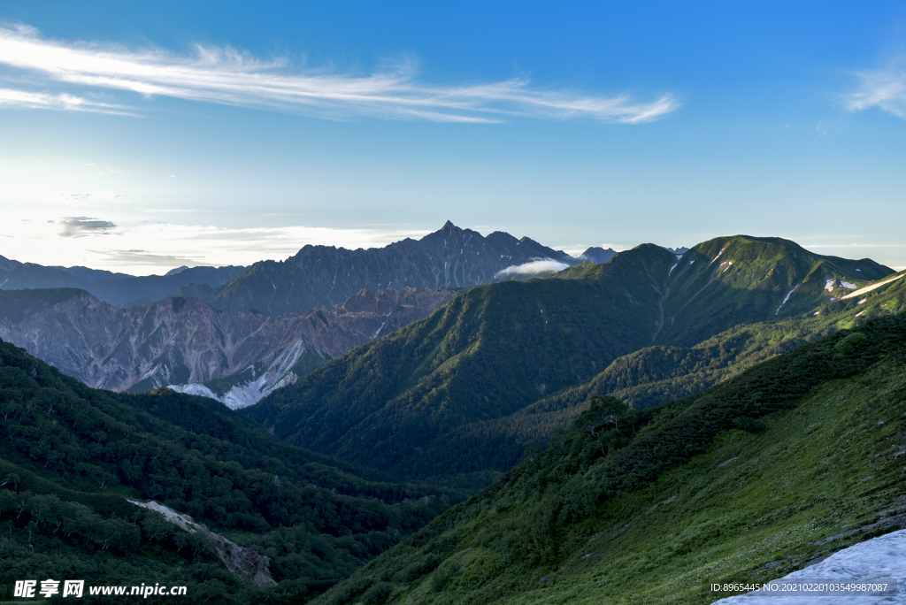山