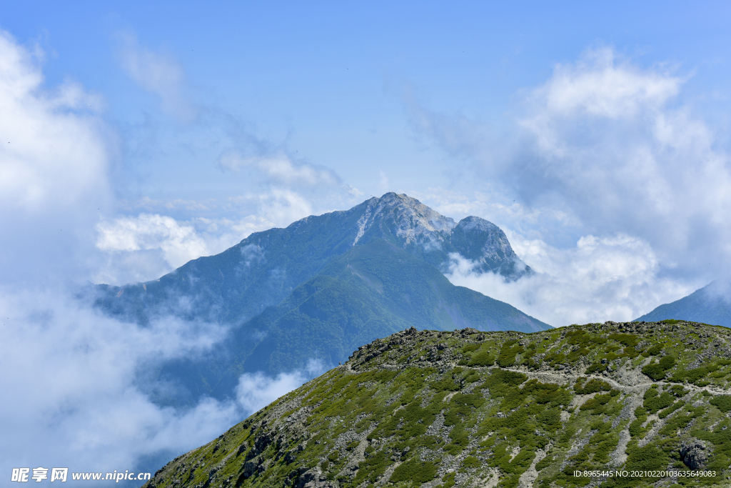 山