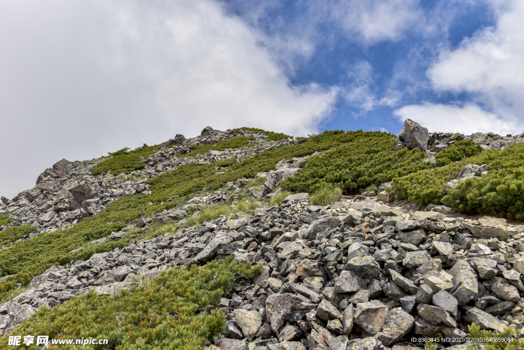 山