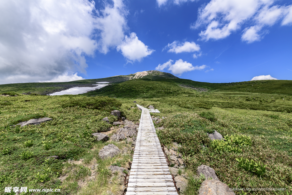 山