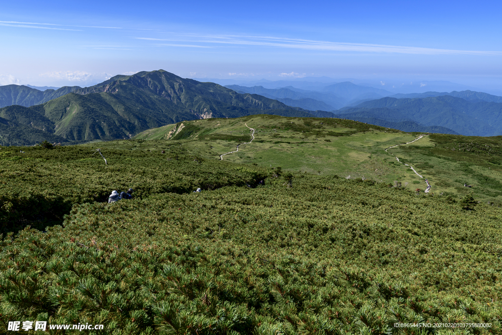山