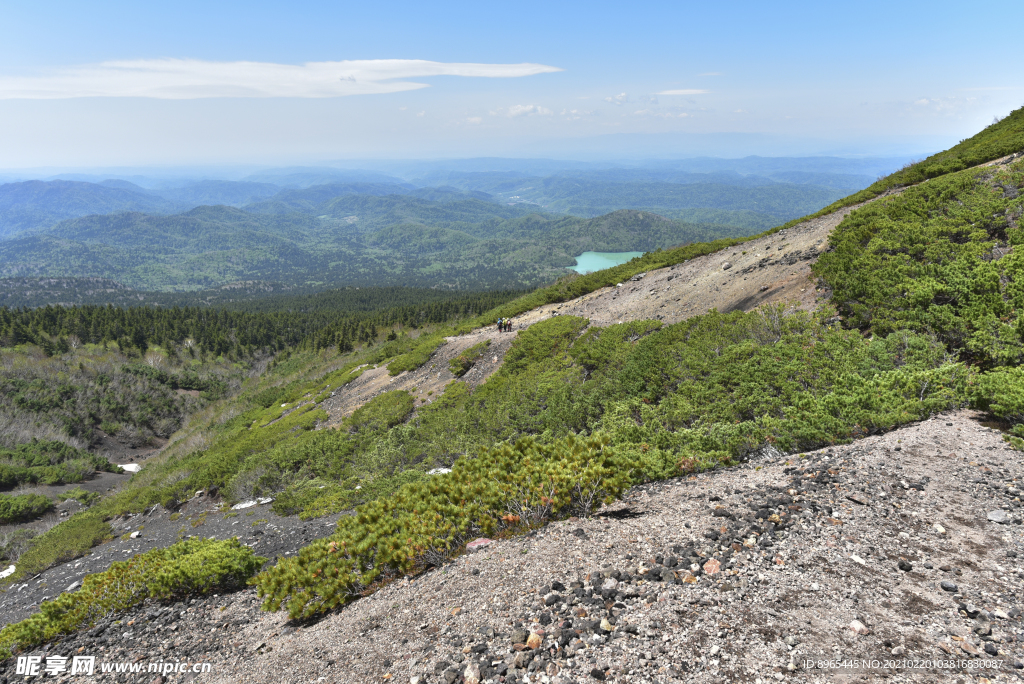 山