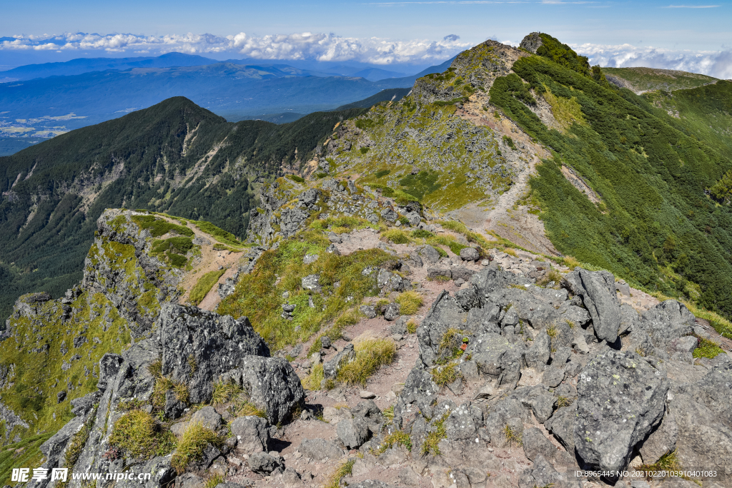 山