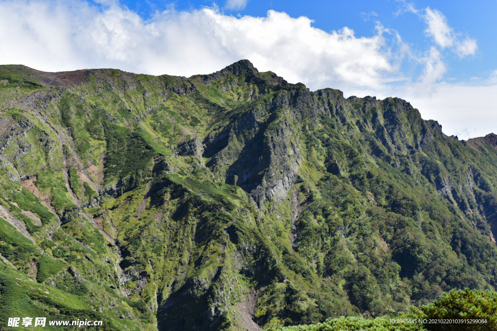 山