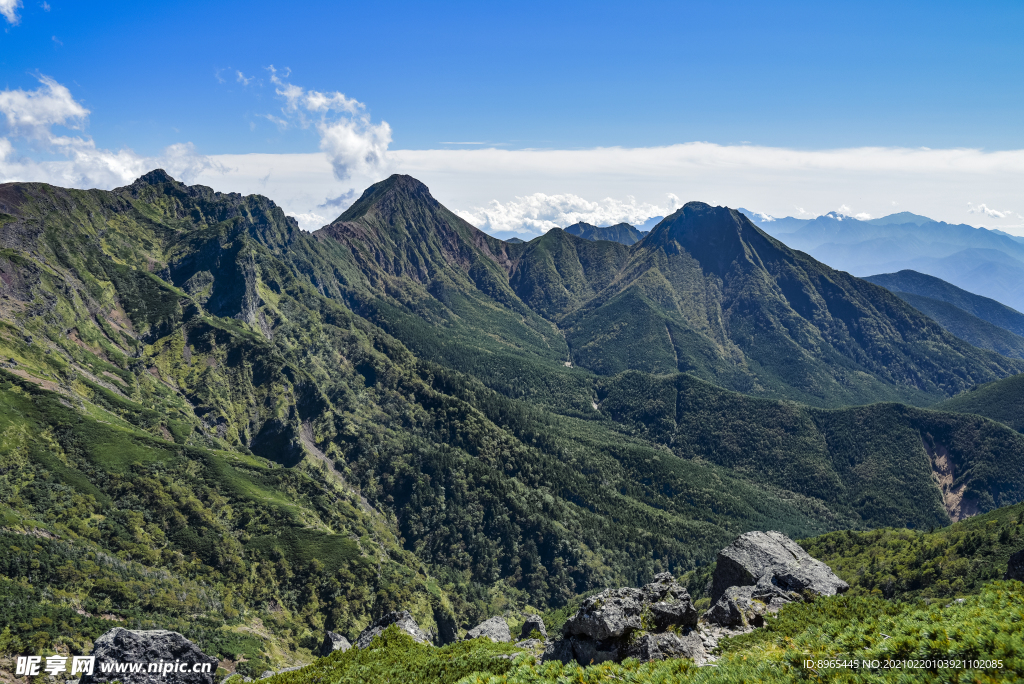 山