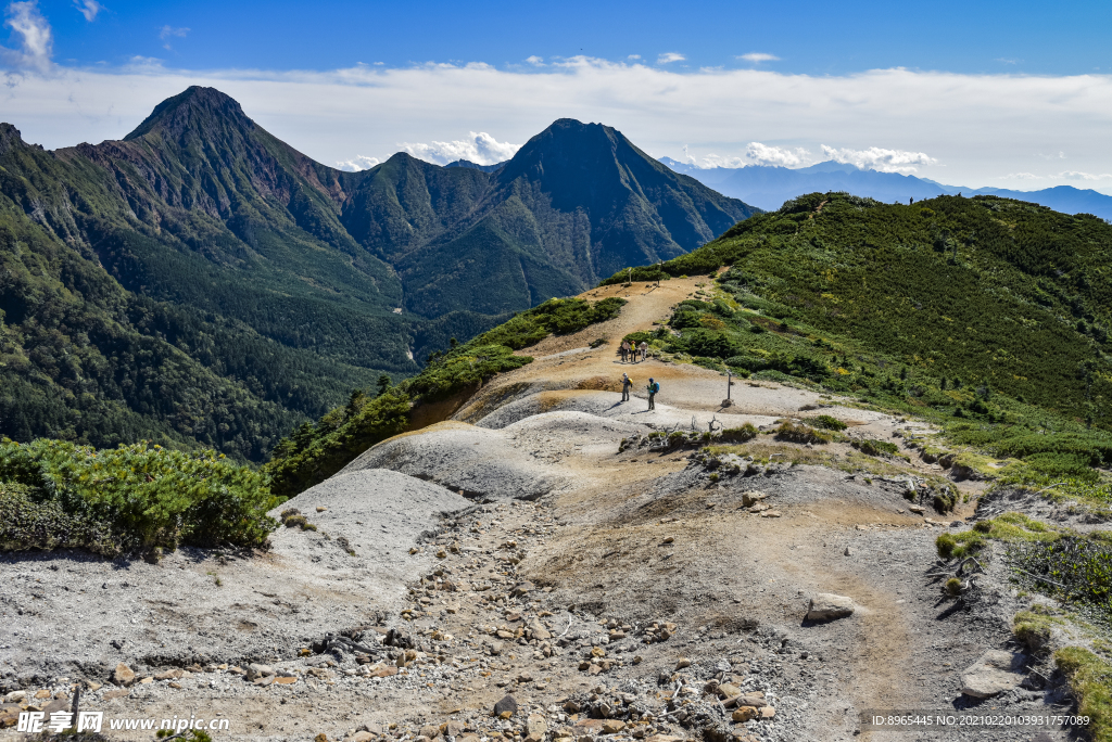 山