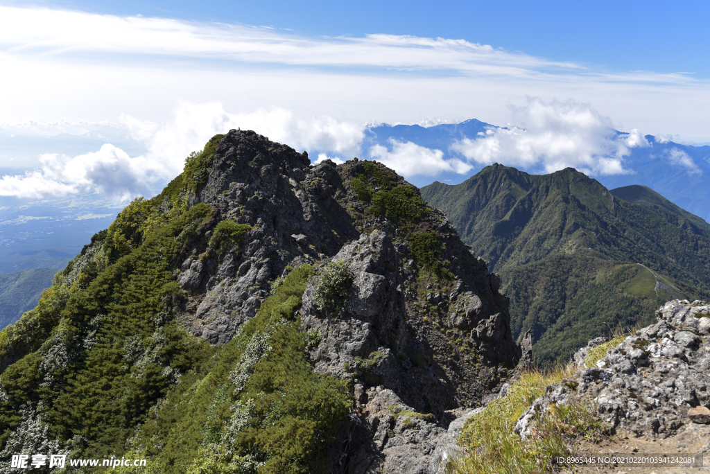 山