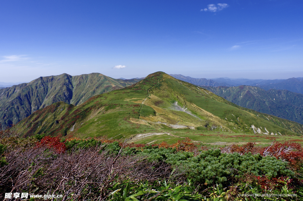 山