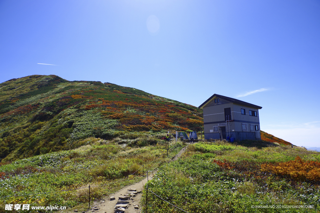 山