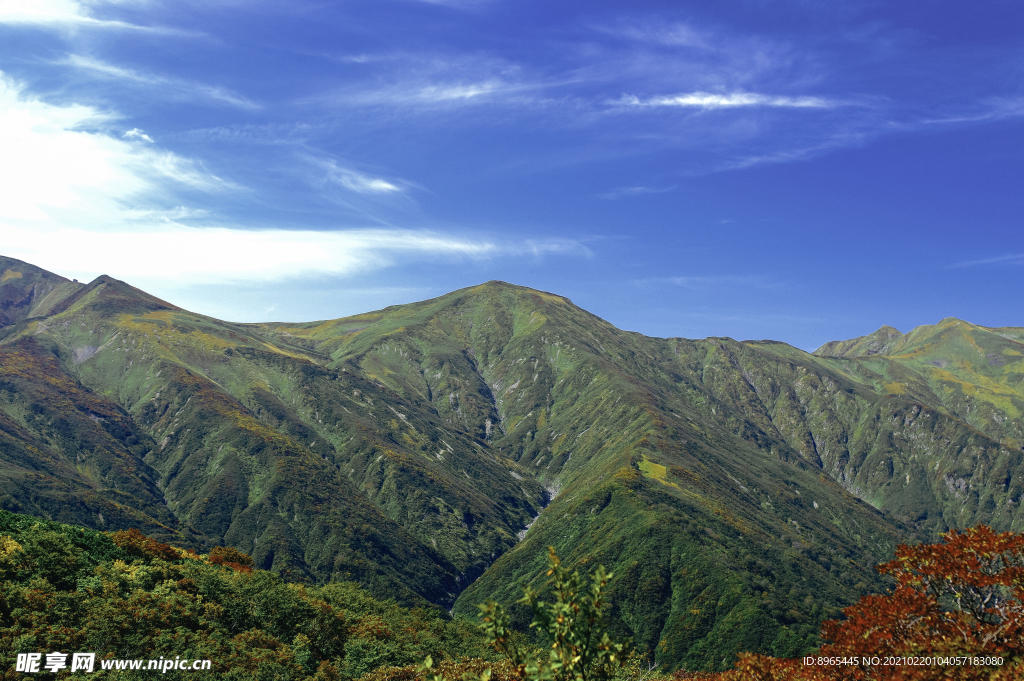 山