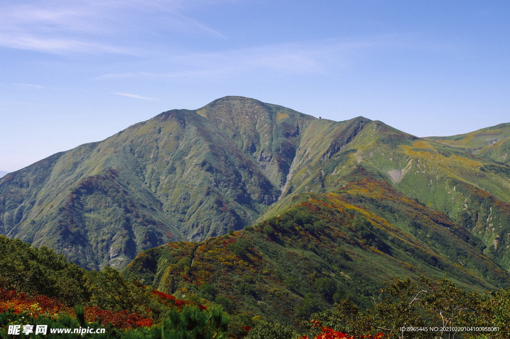 山
