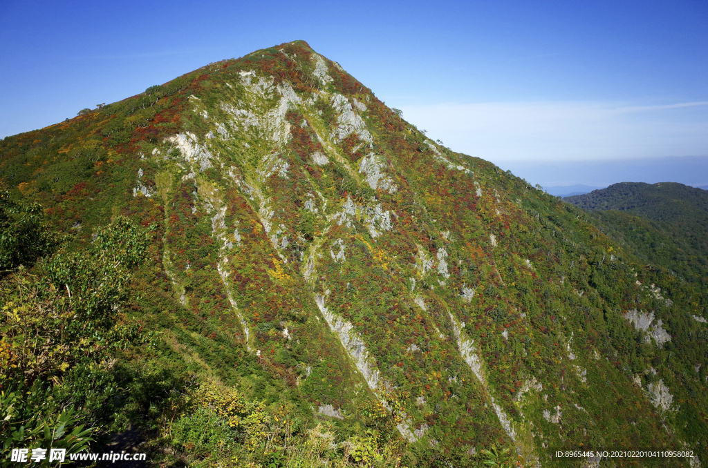 山