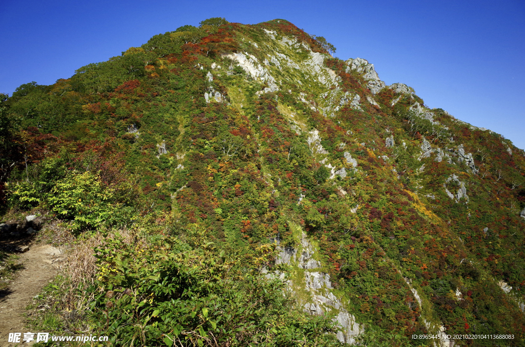 山