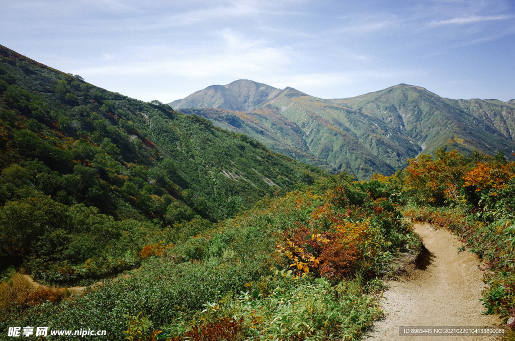 山