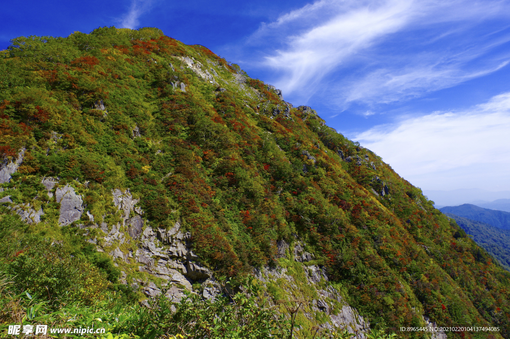 山