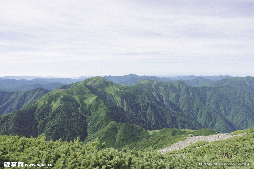 山