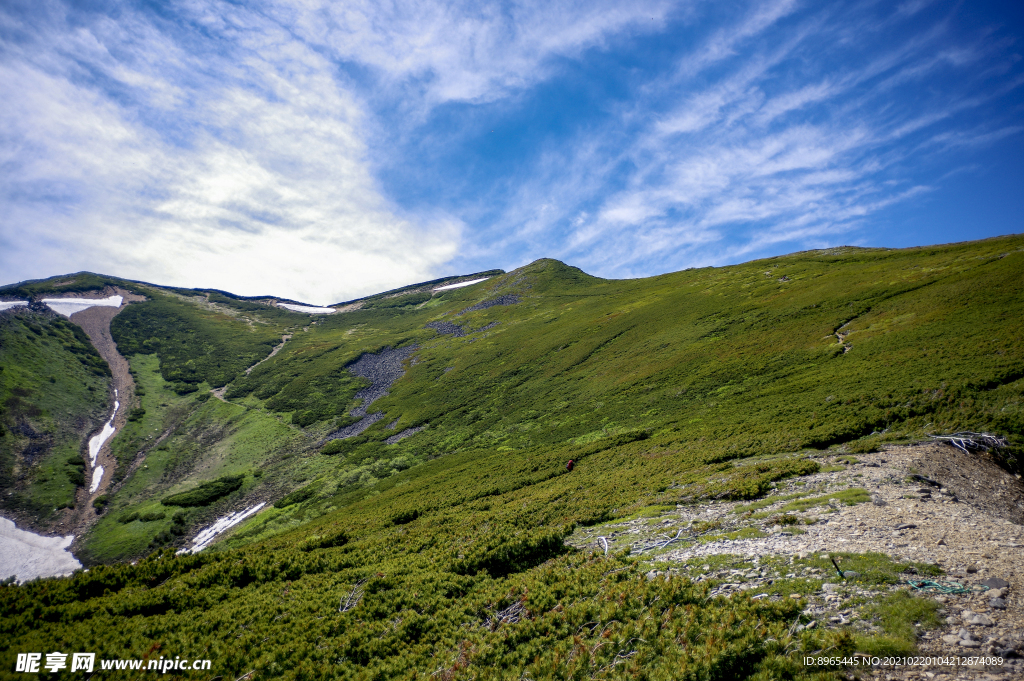 山