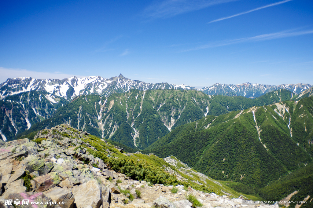 山