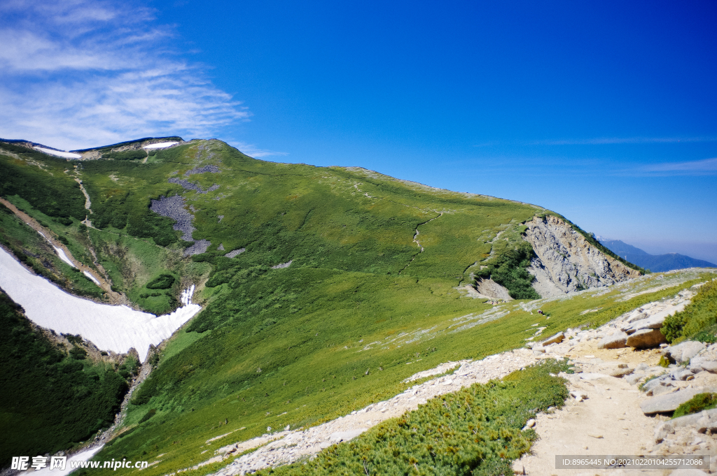 山