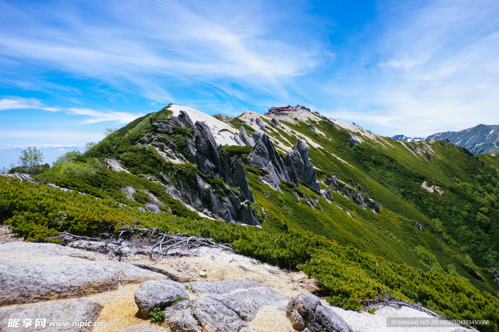 山