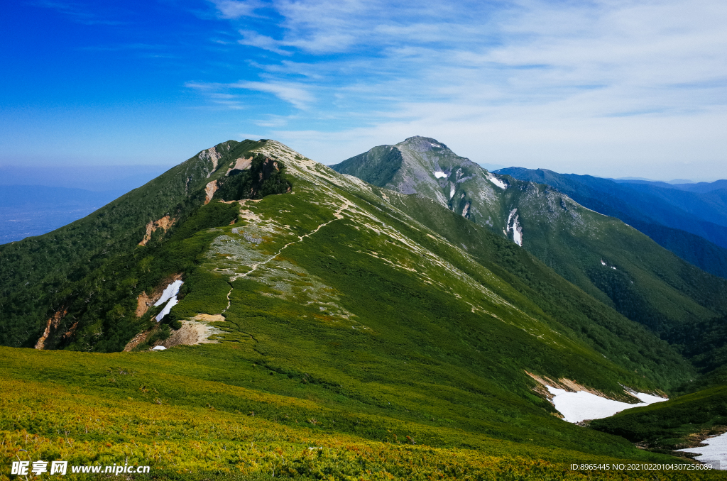 山