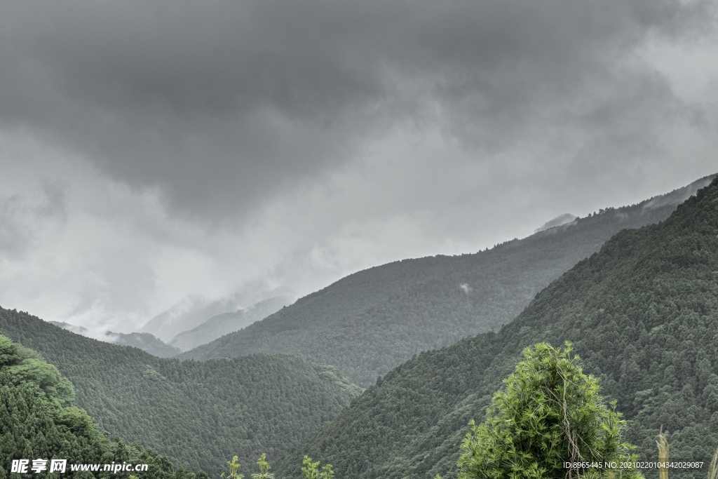 山