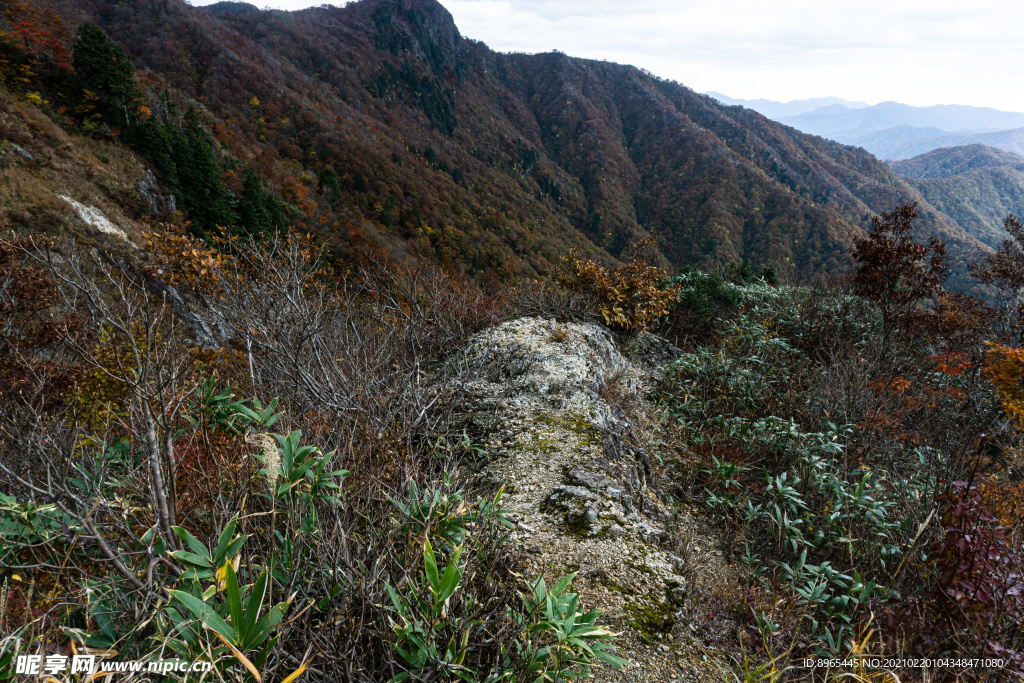 山