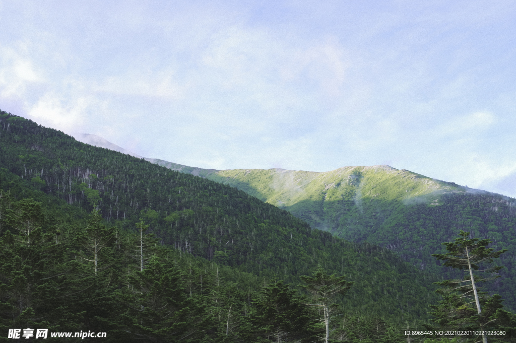 山