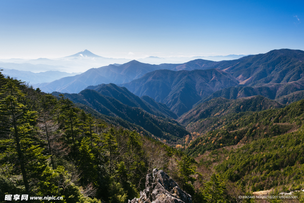 山