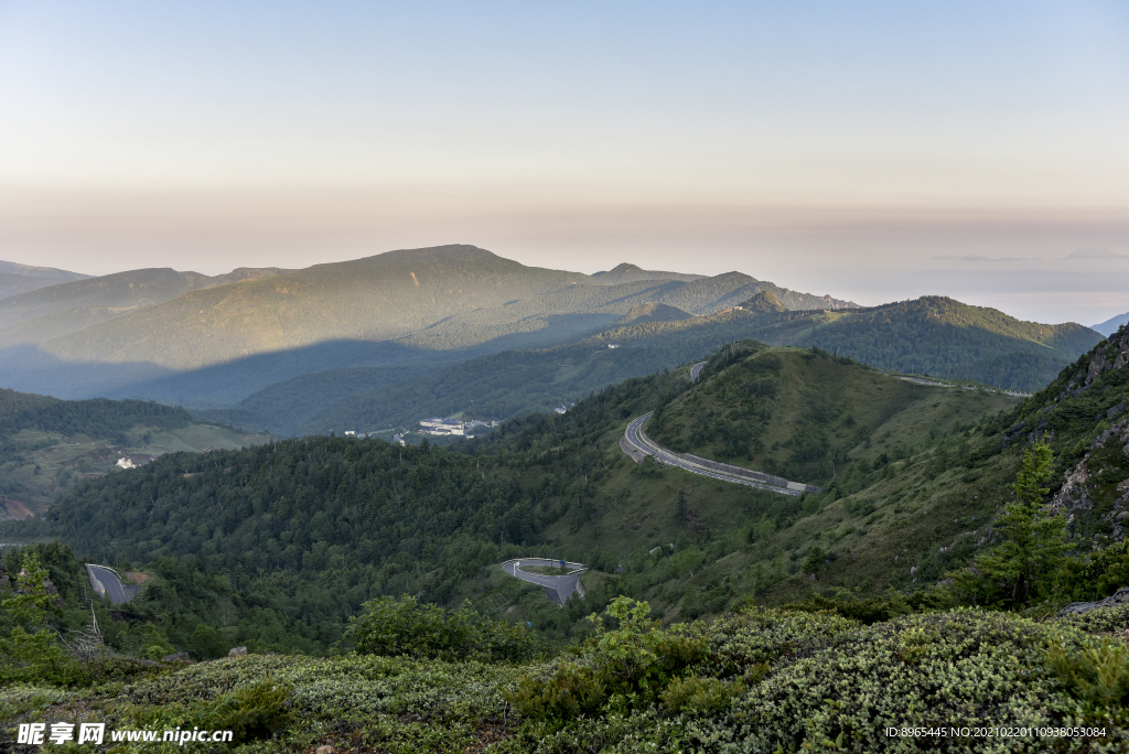 山