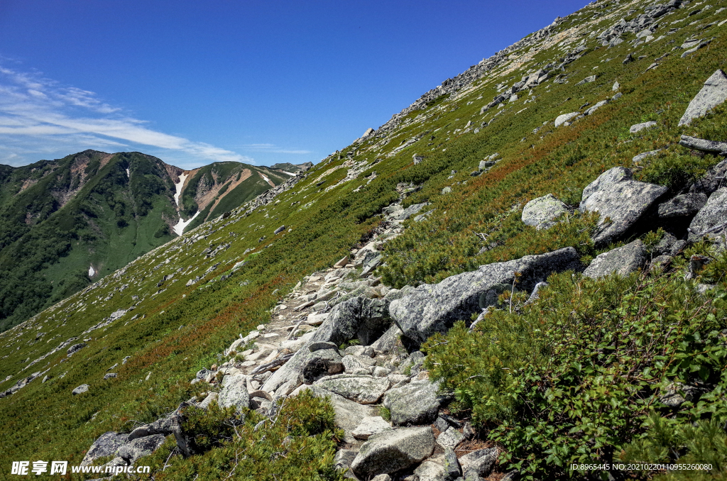 山
