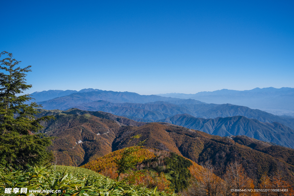山