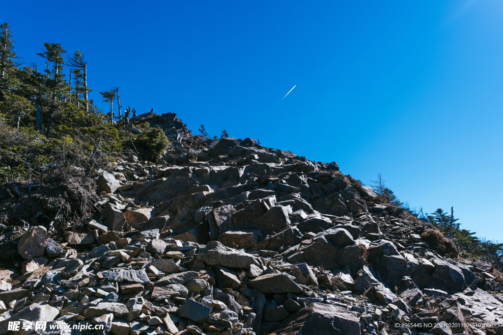 山