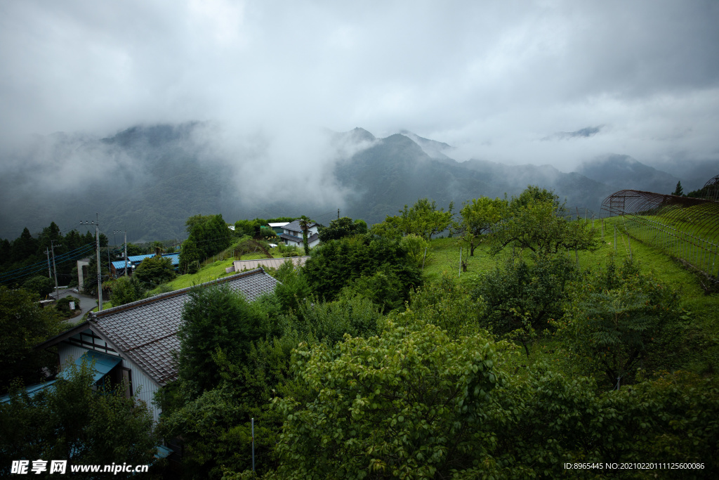 山