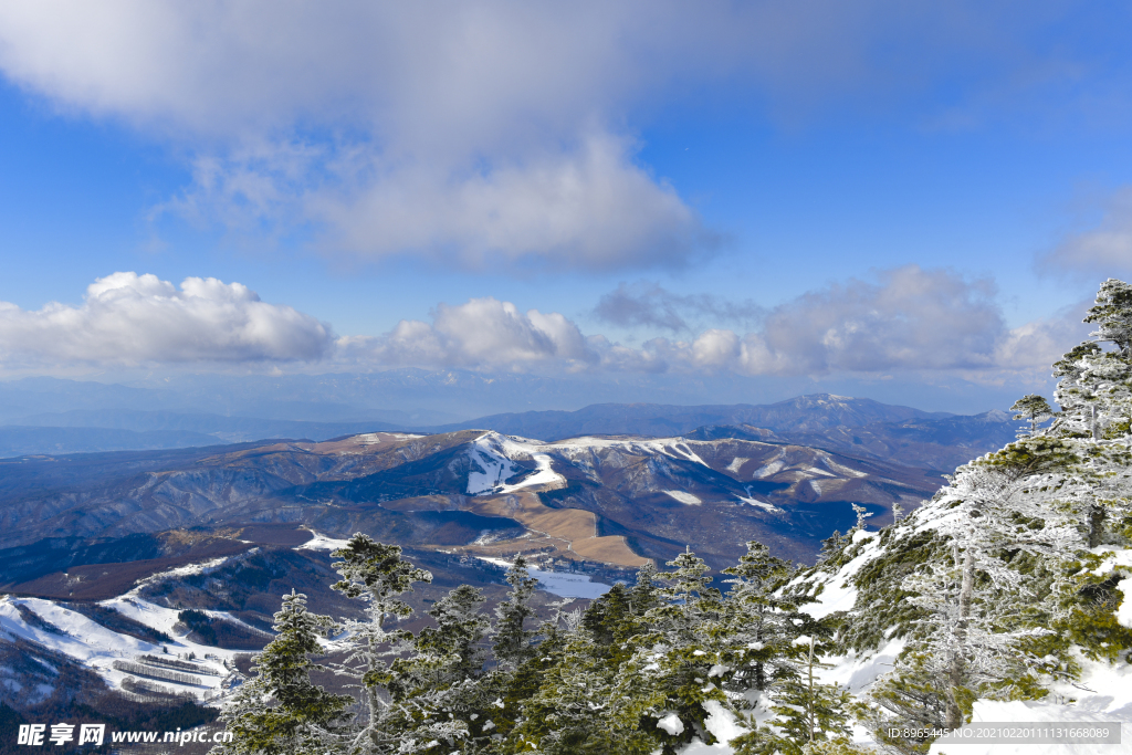 山