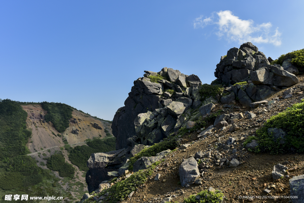 山
