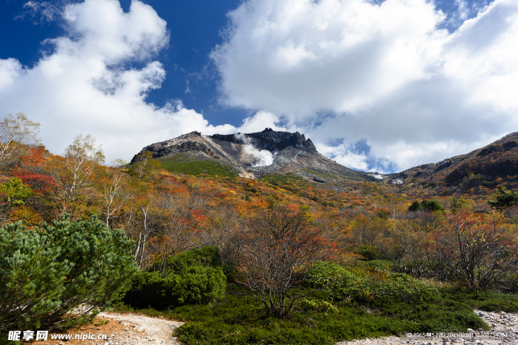 山