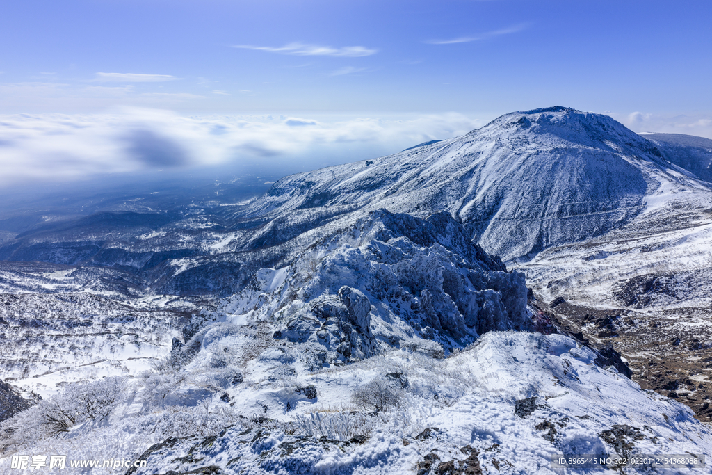 山