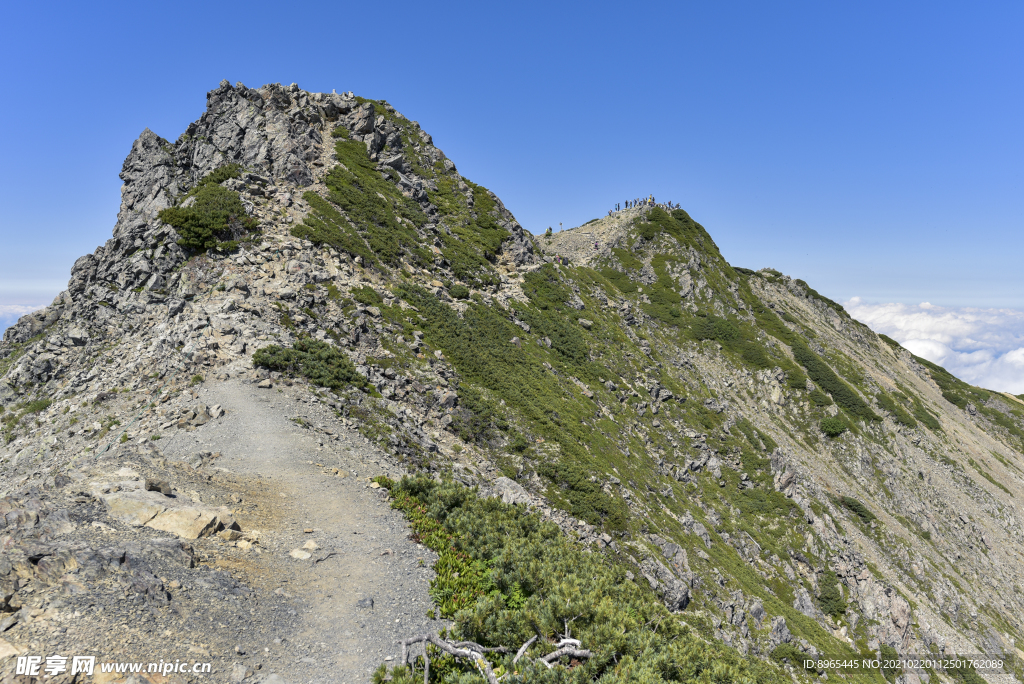 山