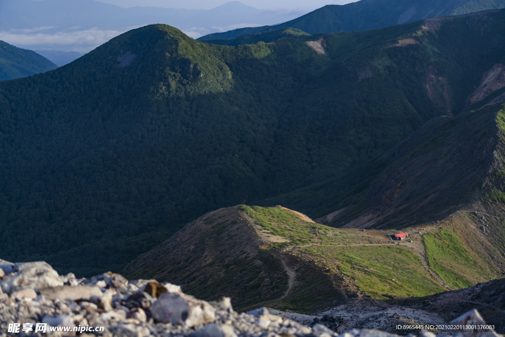 山
