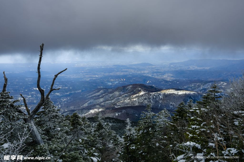 山