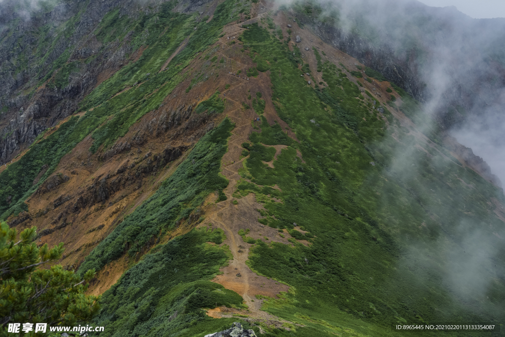 山