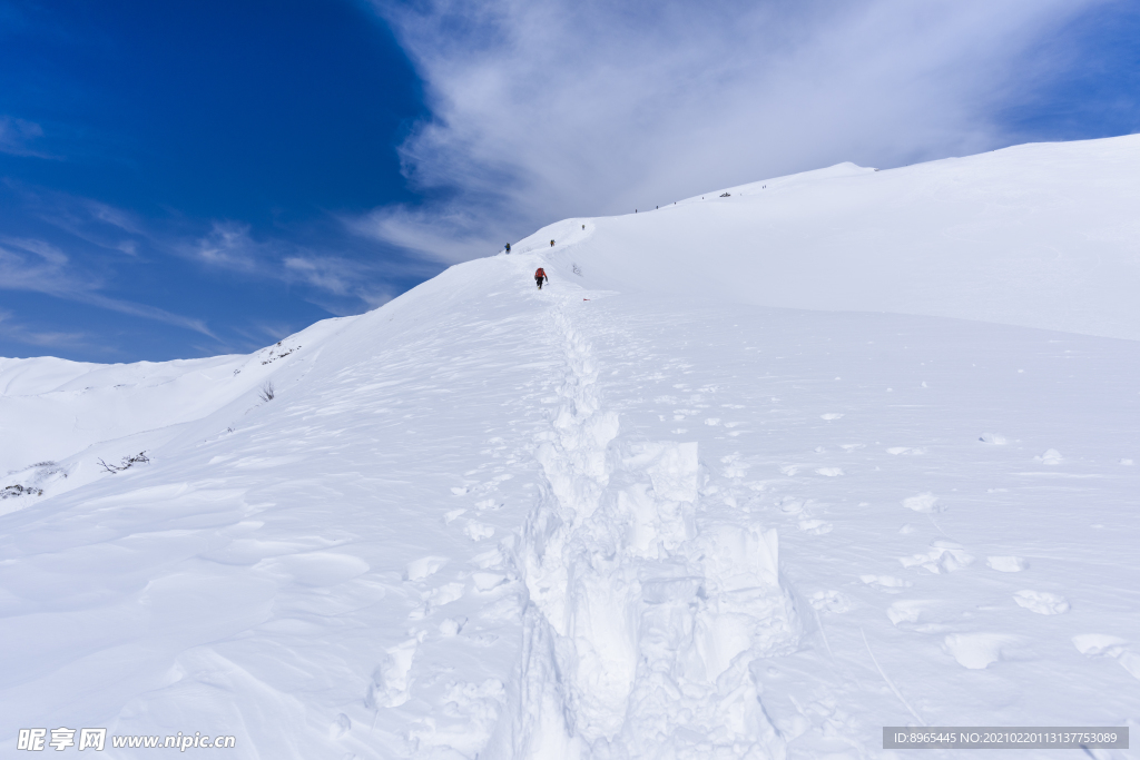 山