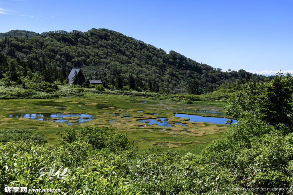 山