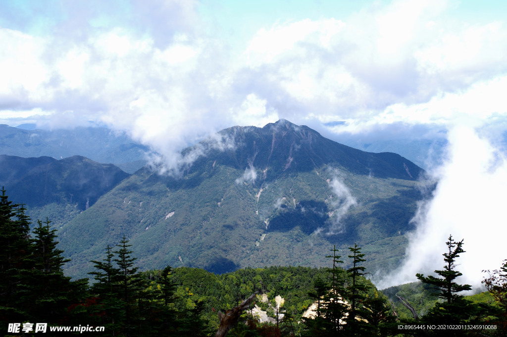 山