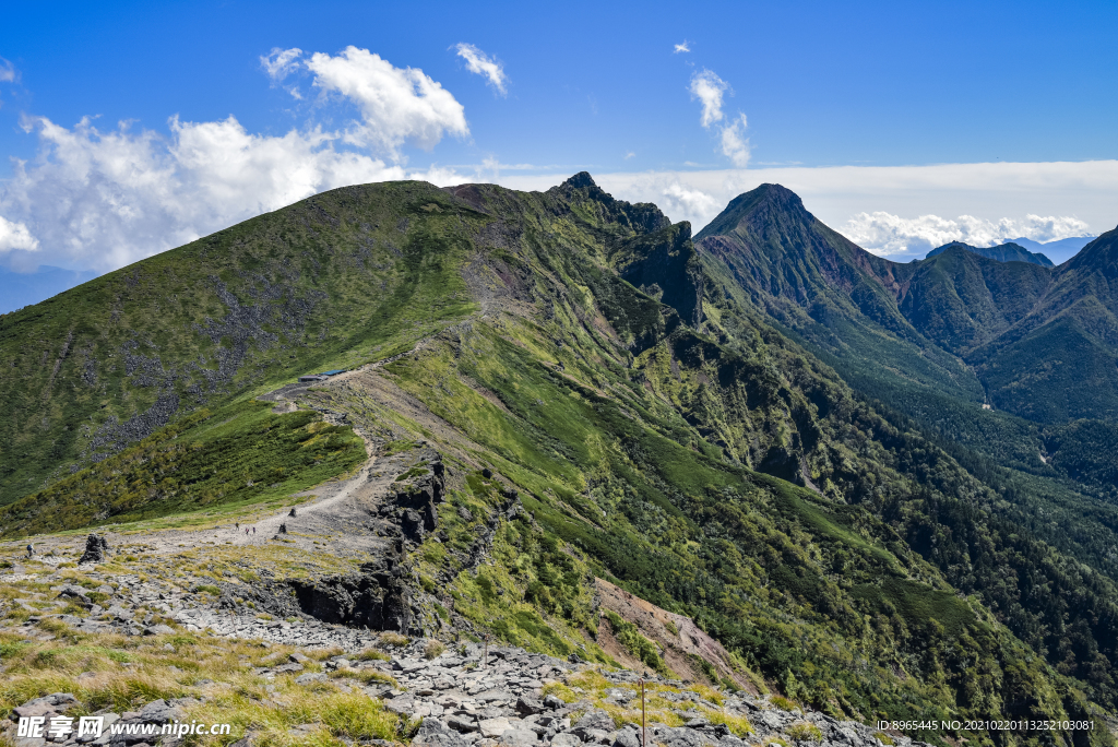 山