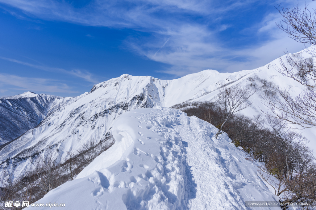 山