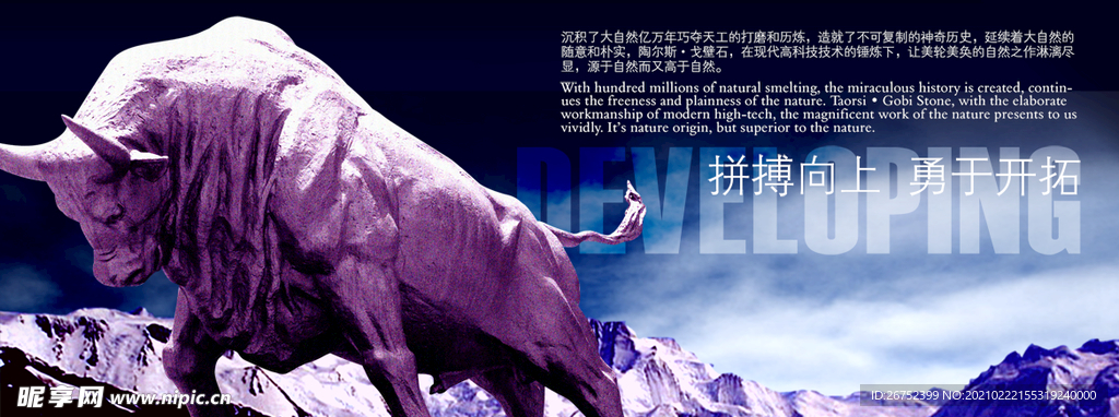 公司文化