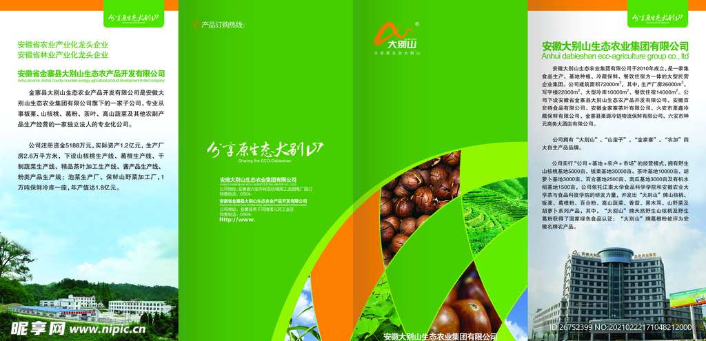 公司文化