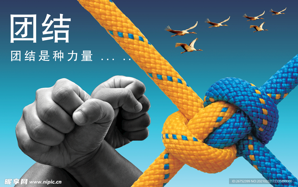 公司文化